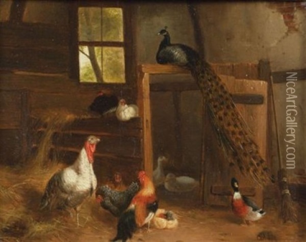 Fancy Fowl Oil Painting - Carl Jutz the Elder