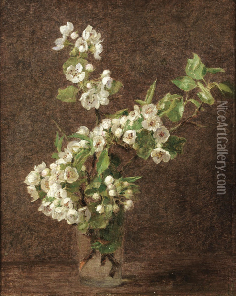 Fleurs De Pommiers Oil Painting - Victoria Dubourg Fantin-Latour