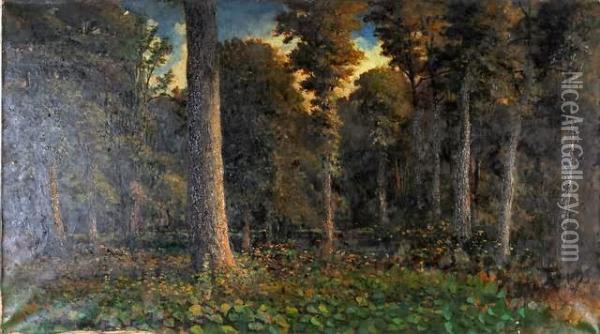 Woodland Interior Oil Painting - William Livingstone Anderson