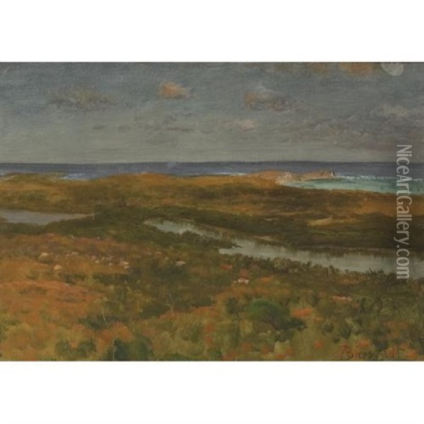 Salt Marsh At Twilight Oil Painting - Albert Bierstadt