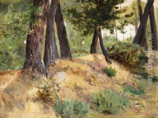 Paysage Forestier Oil Painting - Leopold Franz Kowalski