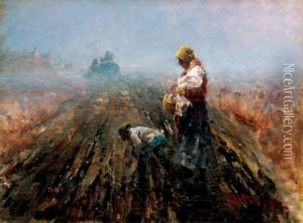 Morning In The Field Oil Painting - Laszlo Pataky Von Sospatak