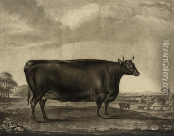 The Bradby Heifer Oil Painting - William I Ward
