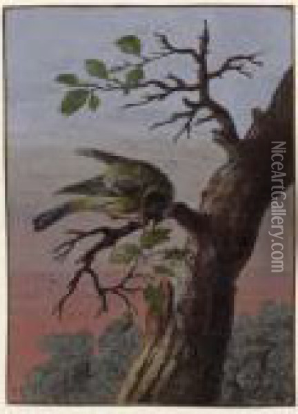 A Finch On A Branch Oil Painting - Barbara Regina Dietzsch
