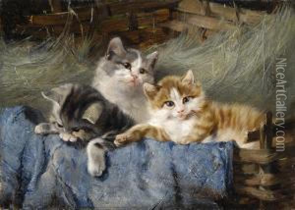 Drei Katzchen In Einem Korb. Oil Painting - Julius Adam