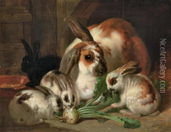 Rabbits In An Interior Oil Painting - John Frederick Herring Snr