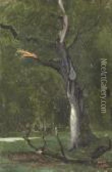 Un Arbre Mort Sous Bois Oil Painting - Jean-Baptiste-Camille Corot