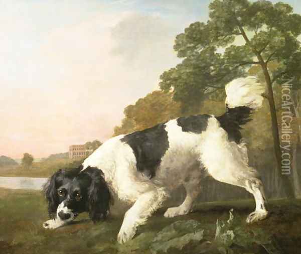 A Spaniel in a Landscape, 1771 Oil Painting - George Stubbs