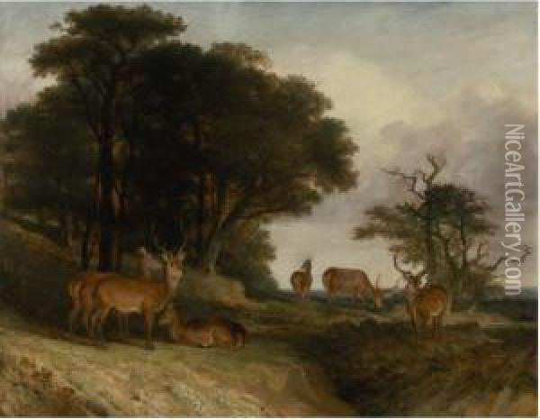 Deer At The Edge Of A Clearing At Sunset Oil Painting - William Huggins