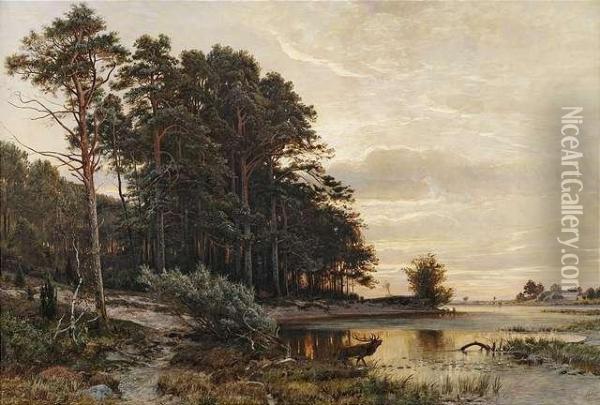A Lake At The Border Of Awood At Evening Light. Oil Painting - Paul Koken