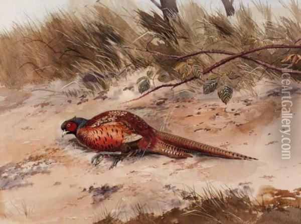 Pheasant Oil Painting - Robert W. Milliken