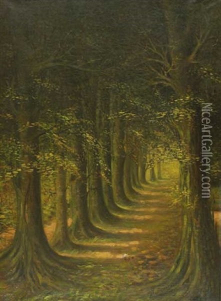 Baumallee Im Wald Oil Painting - Albert Droesbeke