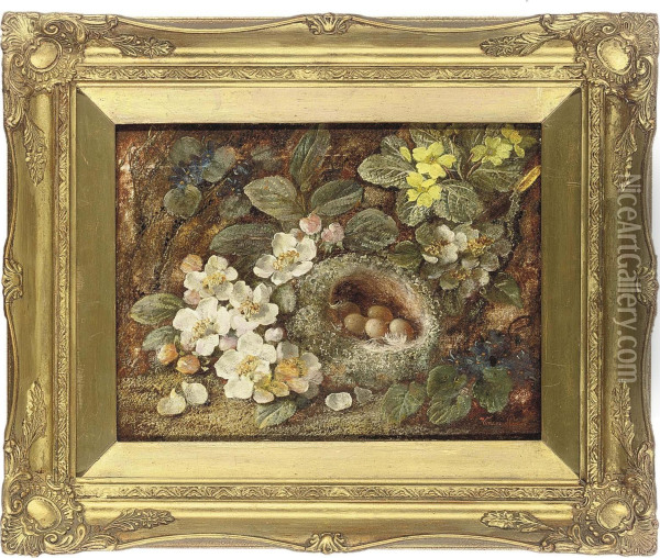 Primroses And A Bird's Nest On A Mossy Bank Oil Painting - Vincent Clare