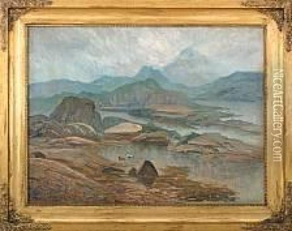 Landscape With Rocks And Eider Oil Painting - Einar Gjessing