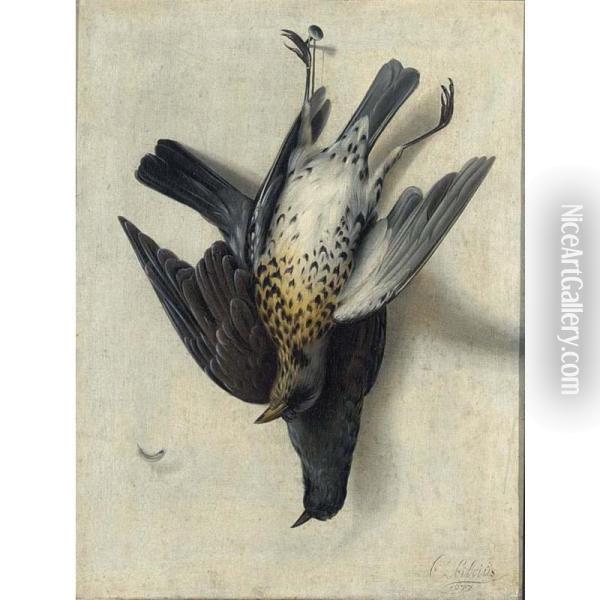 Still Life With Two Godwits Hanging From Nails On The Wall Oil Painting - Cornelis V. Bilt Der Biltius