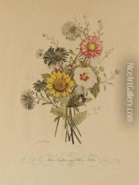 Two Floral Botanical Prints Oil Painting - Jean Louis, Le Jeune Prevost