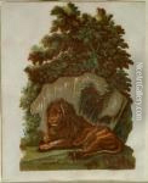 The Lion 1754 Oil Painting - John Baptist Jackson Of Batersea