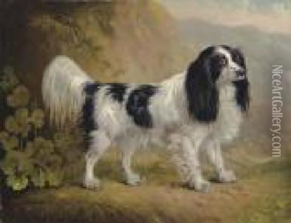 A Spaniel In A Landscape Oil Painting - Sawrey Gilpin