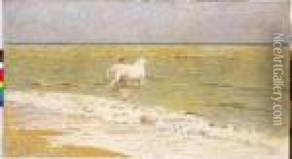 Il Bagno Del Cavallo - 1902 Oil Painting - Luigi Gioli