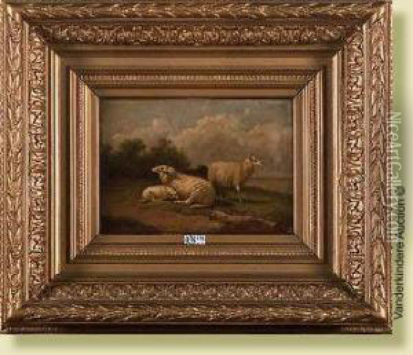Moutons Au Pre Oil Painting - Joseph Van Dieghem