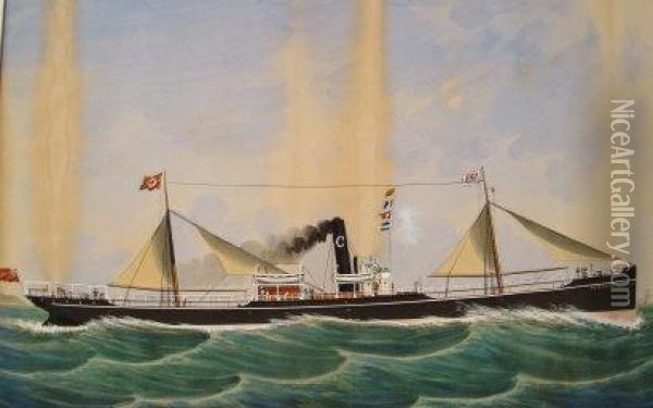 The Steam Ship 'pendeen' Oil Painting - Antonio Luzzo