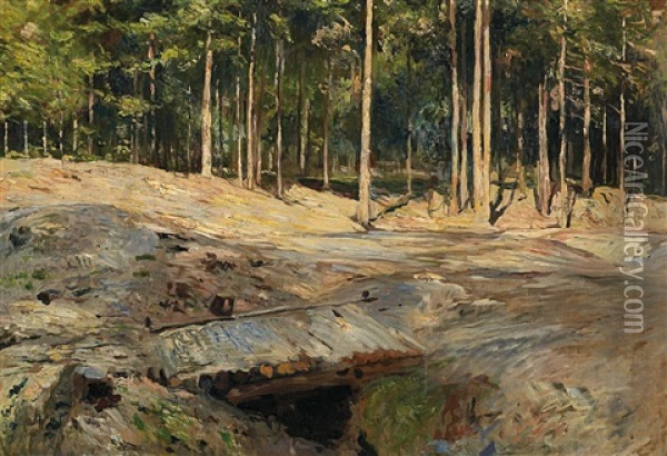 Sommerliche Waldlichtung Im Thuringischen Bei Weimar Oil Painting - Theodor Joseph Hagen