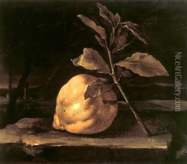 Large Citron in a Landscape Oil Painting - Bartolommeo Bimbi
