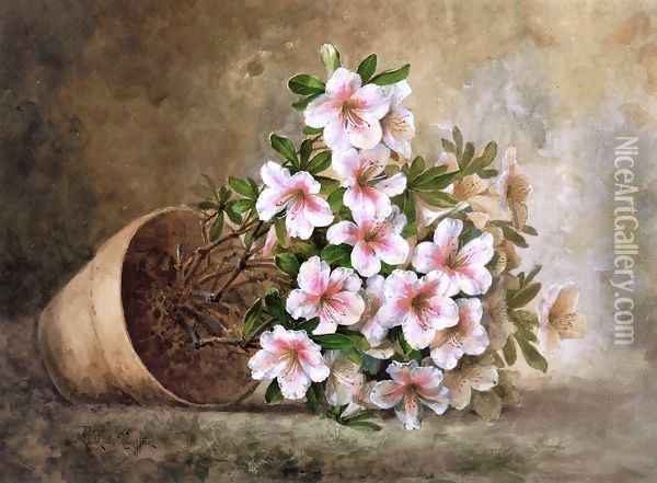 White Azaleas in a Flower Pot Oil Painting - Paul De Longpre