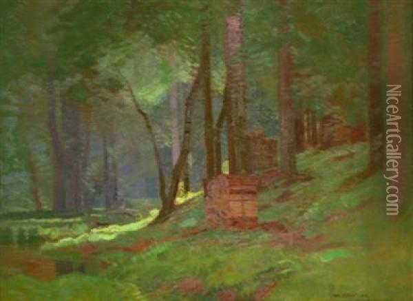 Inside A Forest Oil Painting - Roman Havelka