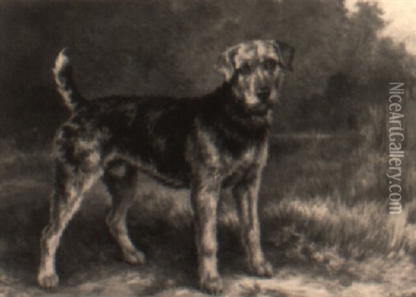 Portrait Of An Airdale Terrier Oil Painting - Edmund Henry Osthaus