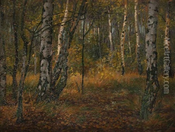 Landschaft Mit Birken Im Fruhherbst Oil Painting - Efim Efimovich Volkov