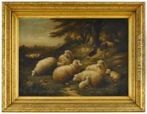 Sheep In A Field Oil Painting - Susan C. Waters