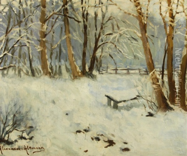 Park Under Snow Oil Painting - Alexandre Altmann