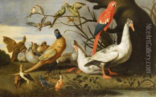 Ocas, Faisanes, Un Loro Y Otras Aves En Un Paisaje Oil Painting - Charles Collins