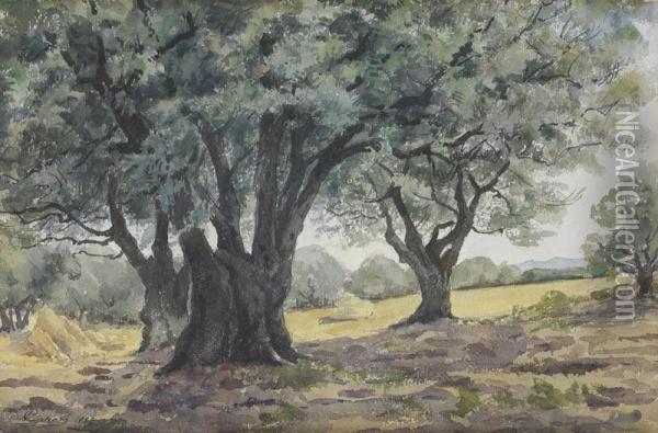 Foret De Fontainebleau En Hiver Oil Painting - Albert Caron