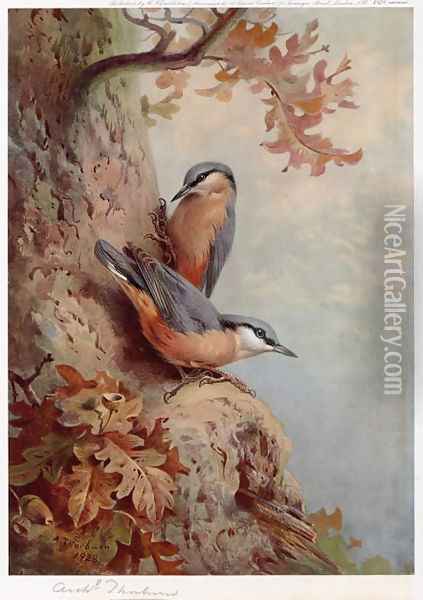 Nuthatches Oil Painting - Archibald Thorburn