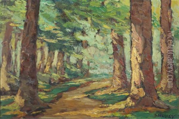 Chemin Boise Oil Painting - Georges Haway