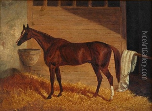 Portrait Of A Horse Oil Painting - Frederick Woodhouse Sr.