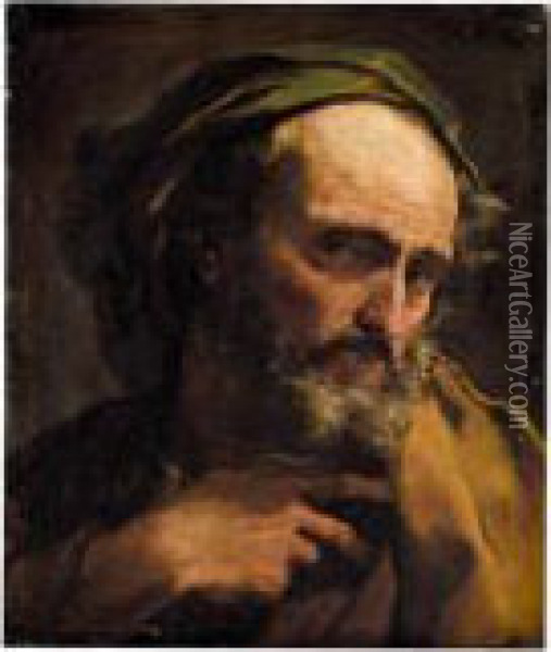 Study Of A Bearded Man, Head And Shoulders Oil Painting - Gaetano Gandolfi