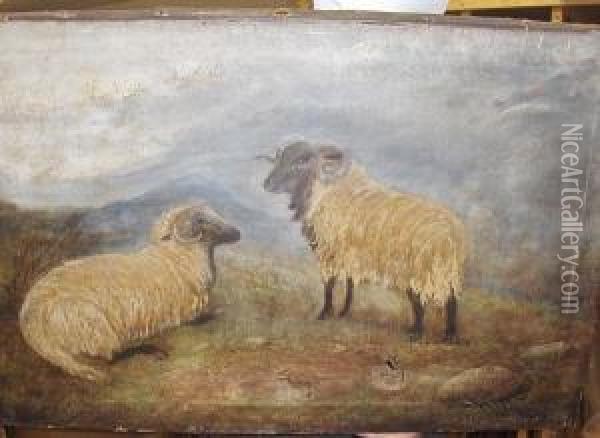 Sheep In Moorland Oil Painting - Horatio McCulloch