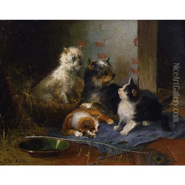 Katzen- Und Hundepaar Mit Pfauenfeder Oil Painting - Gustav Majer
