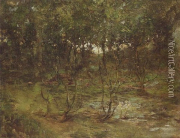A Woodland Stream Oil Painting - Grosvenor Thomas
