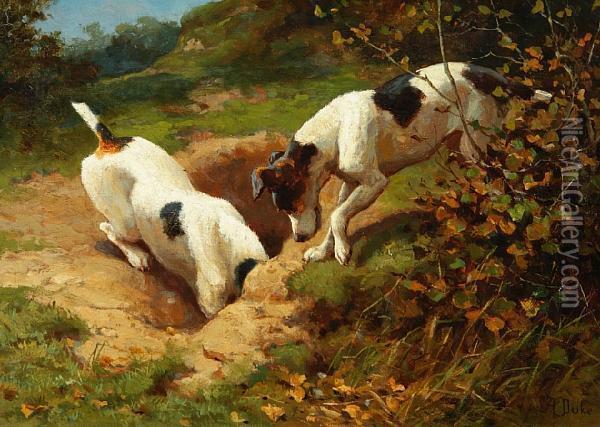 Fox Terriers Chasing A Rabbit; Gone Toearth Oil Painting - Alfred Duke