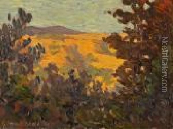 View Of Marin County From Tiburon Oil Painting - Gottardo Piazzoni