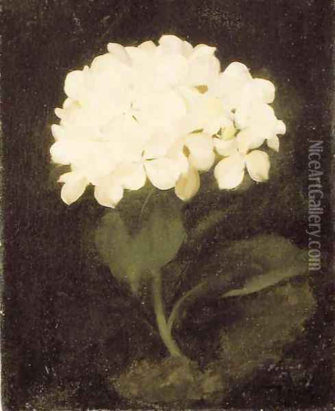 White Hydrangea Oil Painting - James Stuart Park