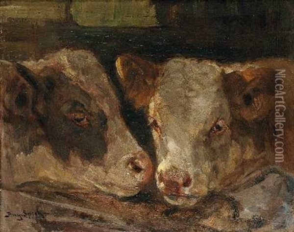 Zwei Kuhe Oil Painting - August Specht