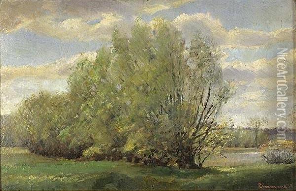 Impressionisticlandscape With Trees At The Edge Of The Concord River Oil Painting - Edward Emerson Simmons