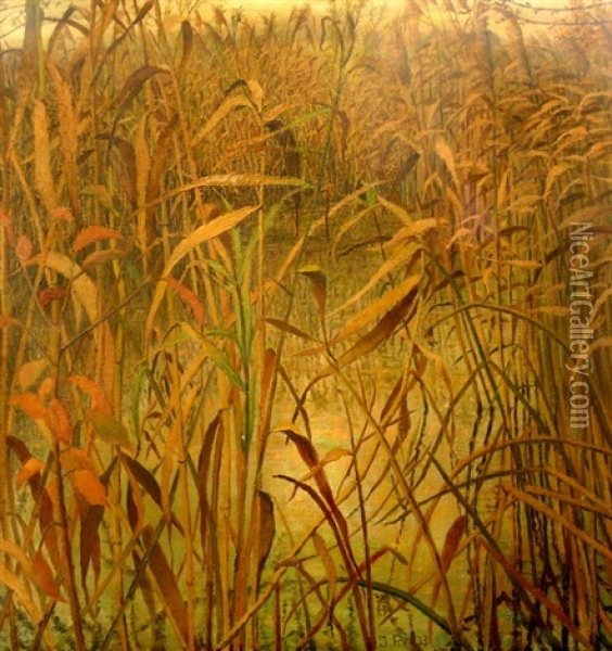 Geheimnisvolle Moorlandschaft Oil Painting - Josefa Pernstich