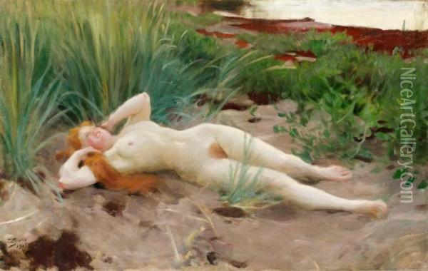Smalandska Oil Painting - Anders Zorn
