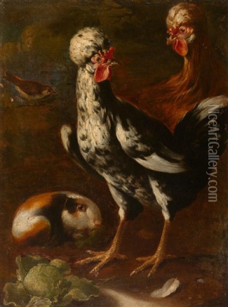 Huhner Und Meerschwein Oil Painting - Giovanni Agostino (Abate) Cassana